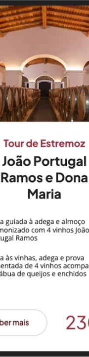 Alentejo Viti Tours Branding Web Mobile 6C